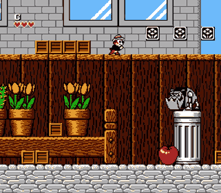 Chip n' Dale: Rescue Rangers - Screenshot - Gameplay (North America) - 256x224