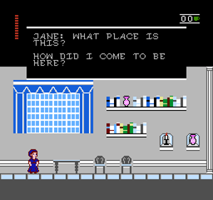 Jane Austen's 8-bit Adventure - Screenshot - Gameplay (World) - 256x240
