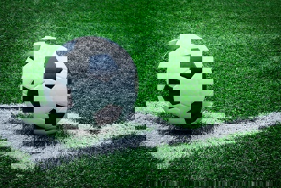 Striker - Fanart - Background (World) - 3000x2004