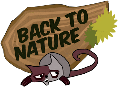 Back to Nature - Clear Logo (Europe) - 3840x2831