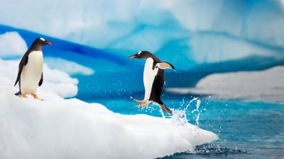 Antarctic Adventure - Fanart - Background (World) - 1920x1080