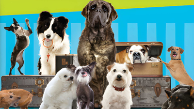 Hotel for Dogs - Fanart - Background (World) - 1920x1080