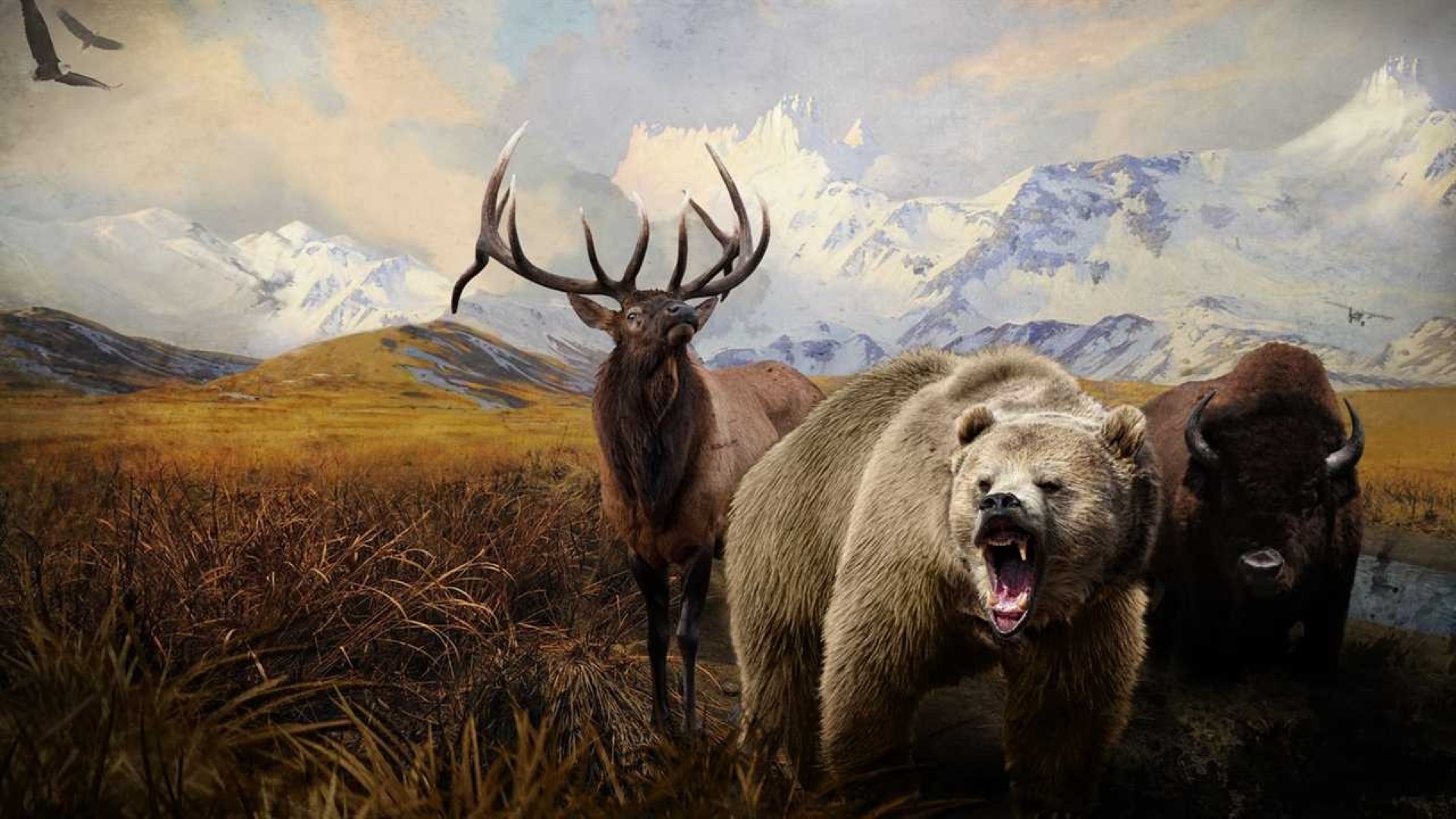 Illustration of Hunter's Trophy 2: America