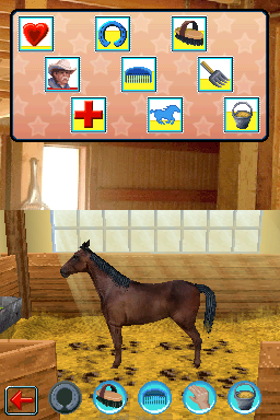 Illustration of Western Riding Academy