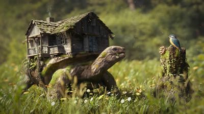 Telly Turtle - Fanart - Background (North America) - 1920x1080